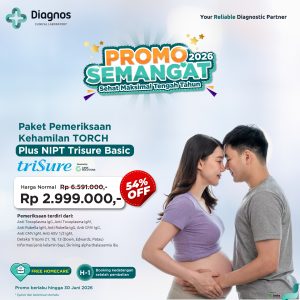 Paket Pemeriksaan Kehamilan Torch Plus NIPT Trisure Basic